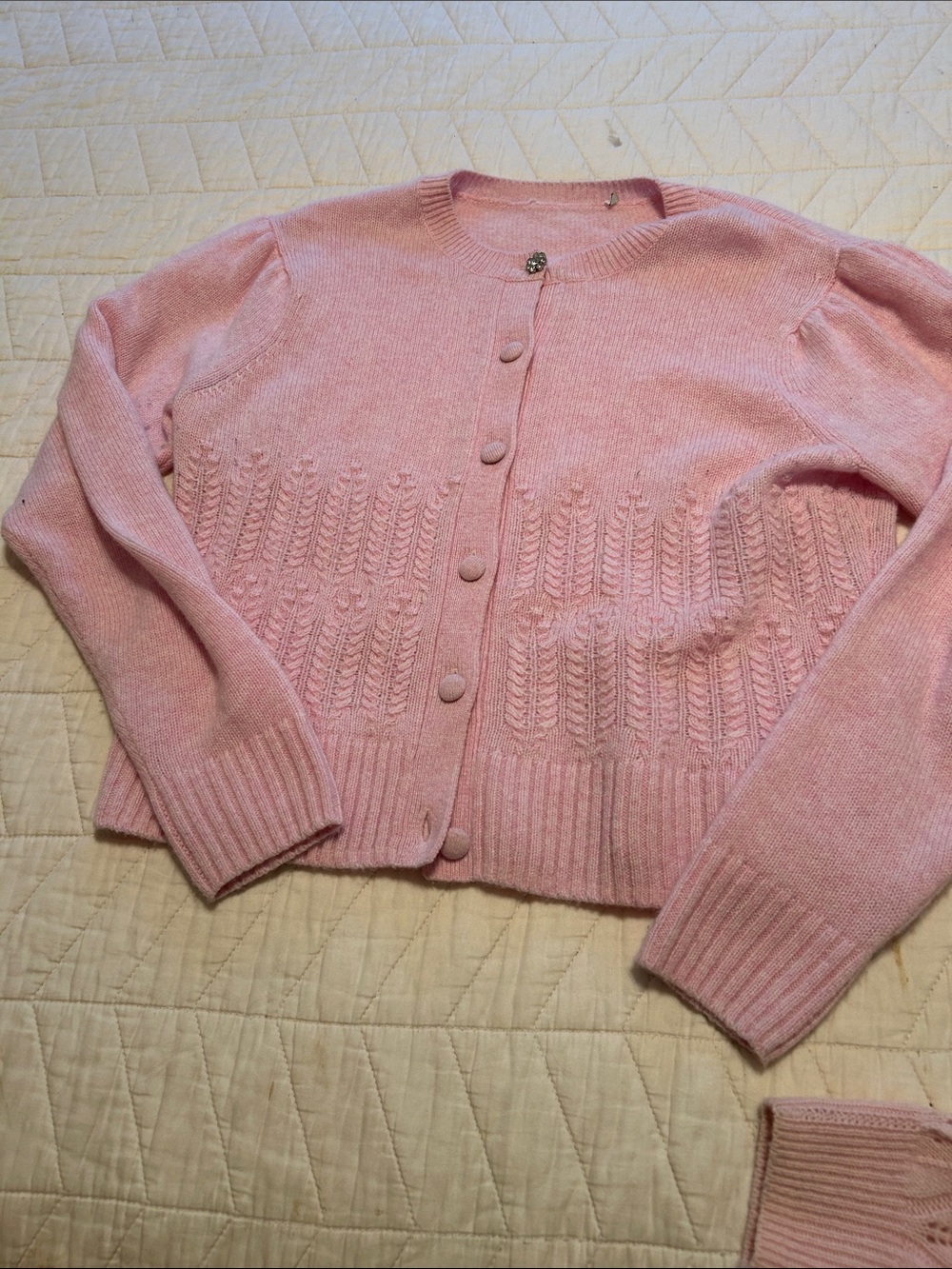 Autumn Cashmere Light Pink Knit Button-Front Cardigan